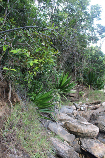 Praia do Segredo