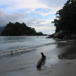 Praia do Segredo