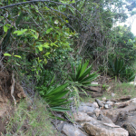 Praia do Segredo