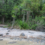 Praia do Segredo