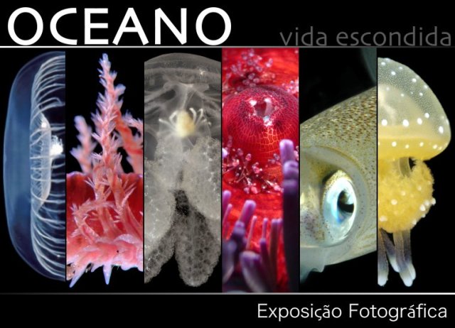 Oceano: vida escondida / Exposição Fotográfica